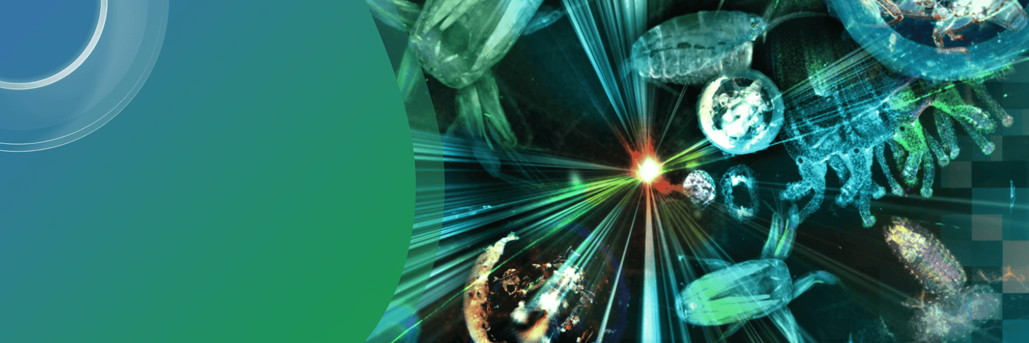 European Light Microscopy Initiative (ELMI)