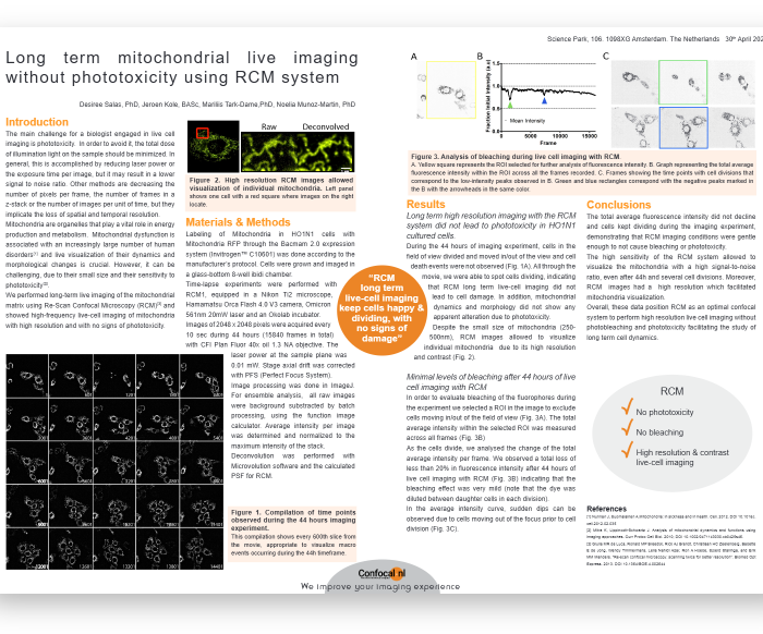 long term mitochondrial mock-up